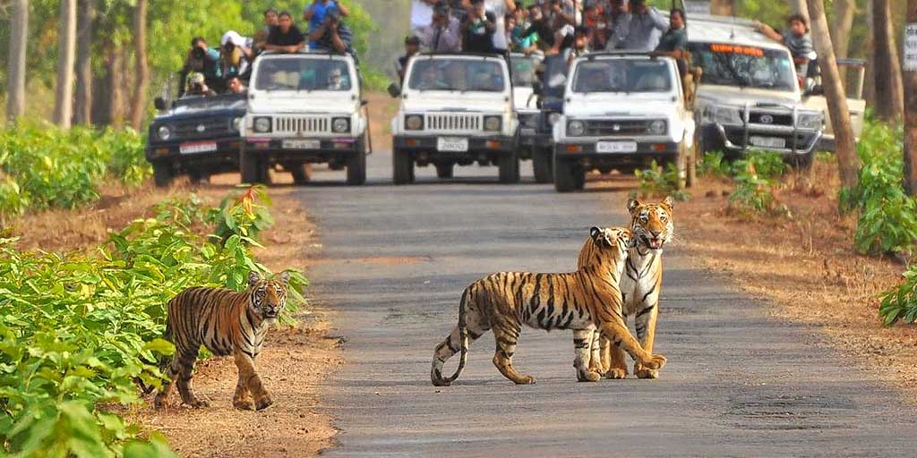 Jim Corbott Park Ramnagar Tour Ishita tour and travels